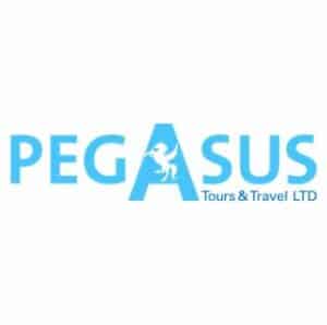 פגסוס תיירות טיולים מאורגנים לוגו